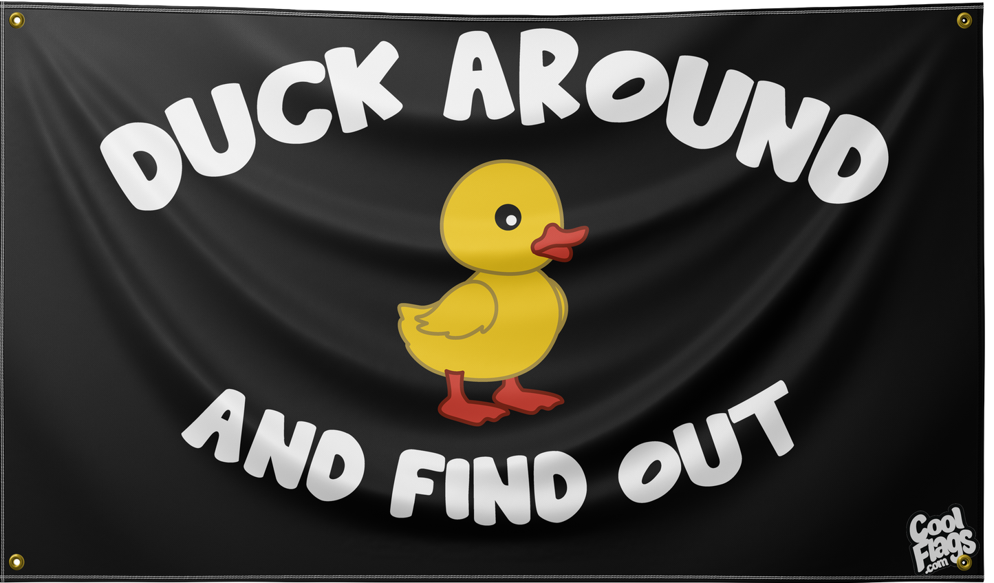 Duck around and find out cool flag