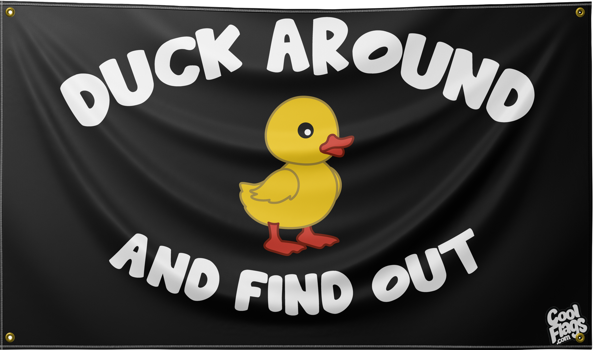 Duck around and find out cool flag