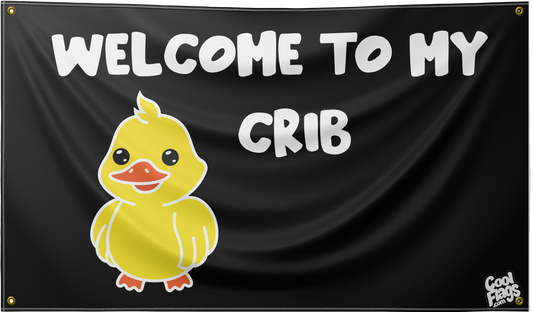 Welcome to my crib funny flag
